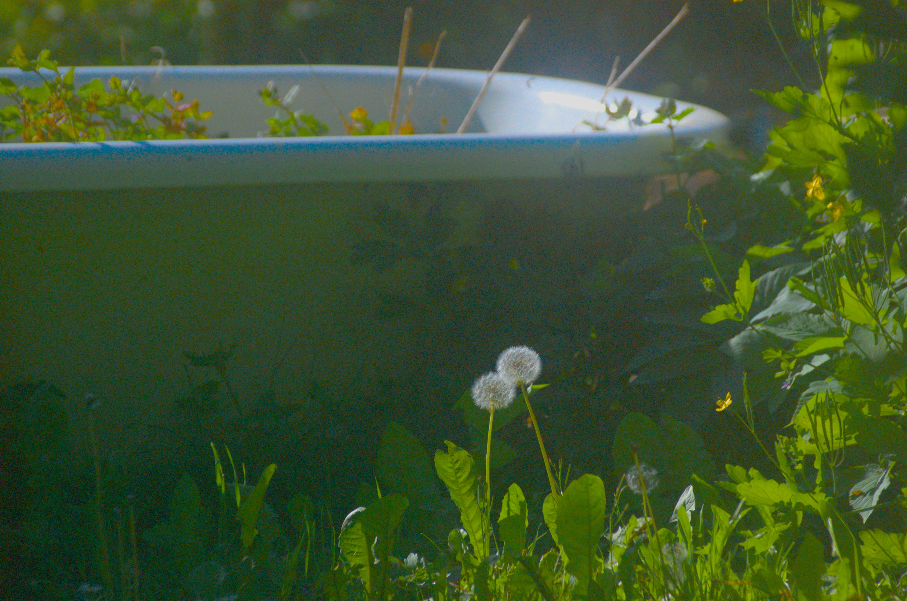 tub.webp